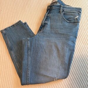 Abercrombie and Fitch Curve Love Skinny Jeans